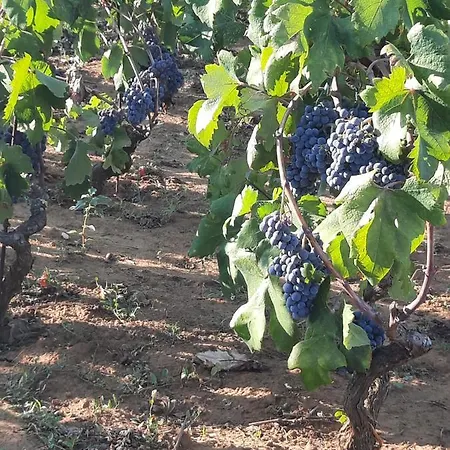 The White House Apartman *