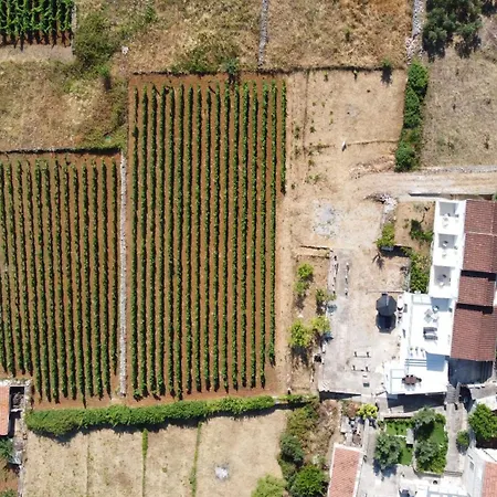 The White House * Lumbarda