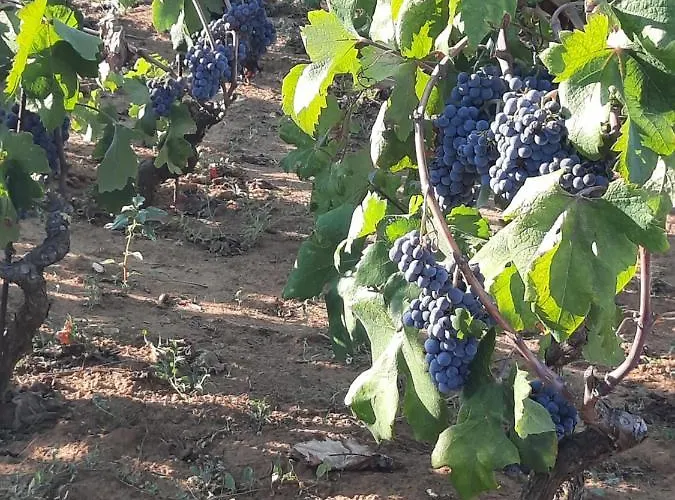 The White House Lejlighed *