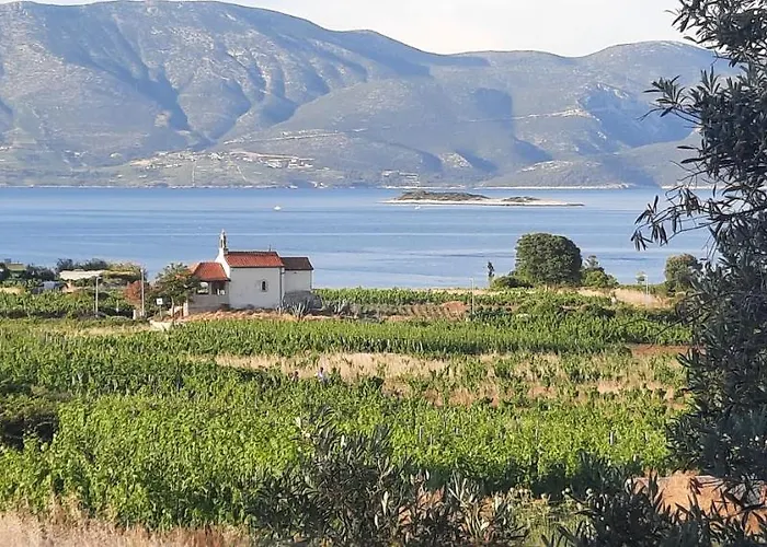 Lejlighed The White House *