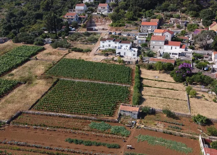 Lejlighed The White House