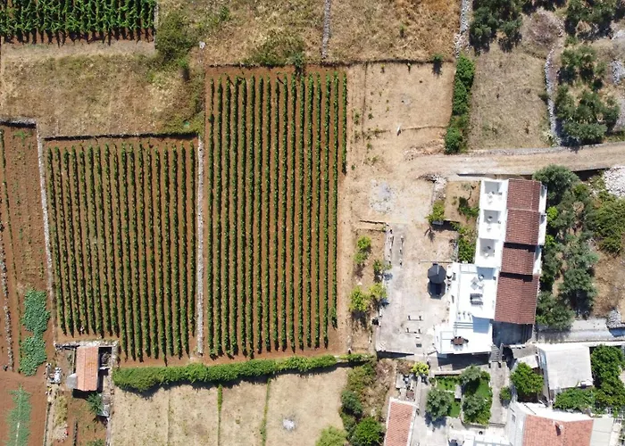 The White House * Lumbarda